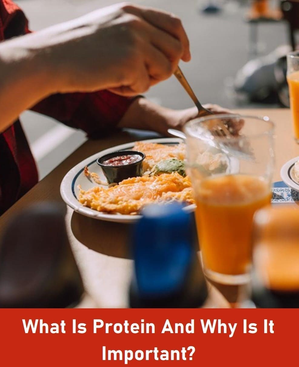 What Is Protein And Why Is It Important?